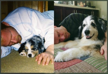 十年之后，你会是什么样｜主人爱犬今昔对比照