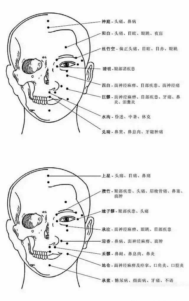 人体头部23个穴位分布图（附主治功效）