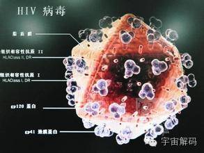 至今无解的25大千古奇谜 -第21张图片-大千世界