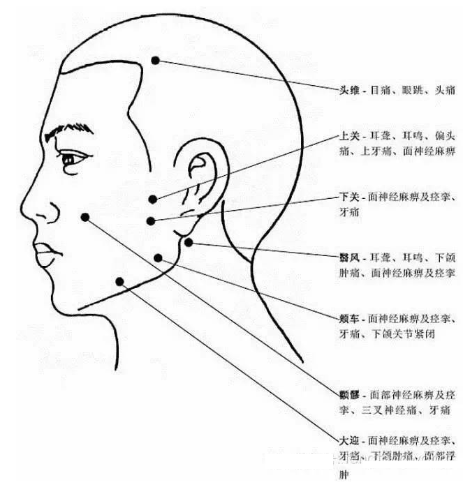 人体头部23个穴位分布图（附主治功效）