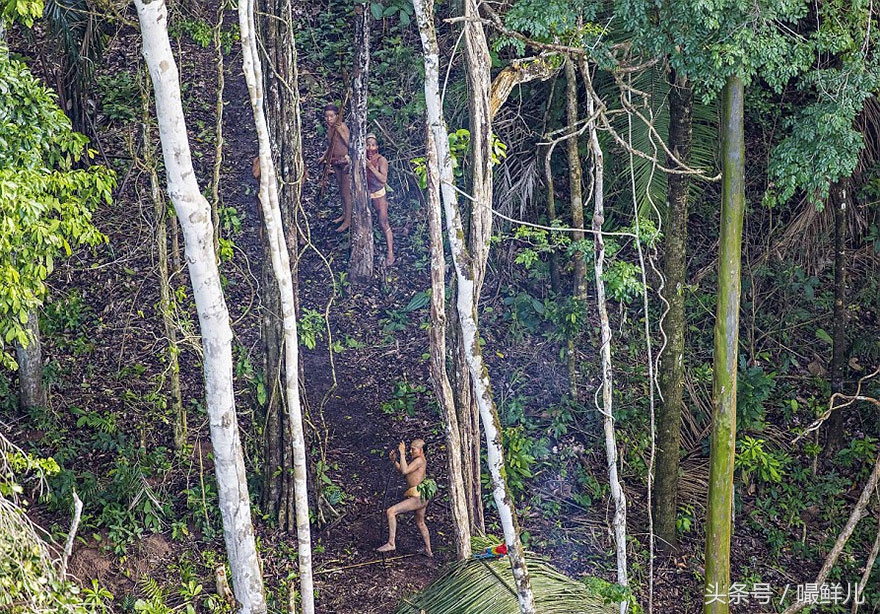 原始部落现身秘鲁(巴西热带雨林里的原始部落，与世隔绝20000年，视飞机为大鸟)