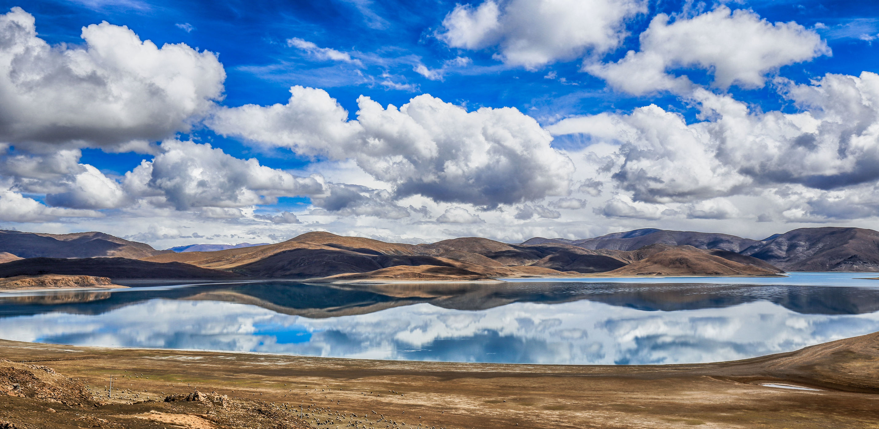 病例63:男,14岁,居住在罗湖区南湖街道罗湖金岸,在社区筛查中发现.