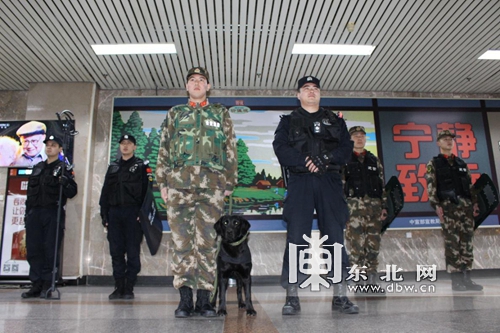 哈尔滨机场为保障游客出行增安保力度 警犬也上岗