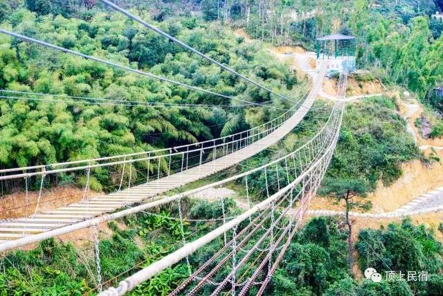 挑战华东最长滑索，高空阶梯桥，就在顶上乡村，好胆就来试试看！