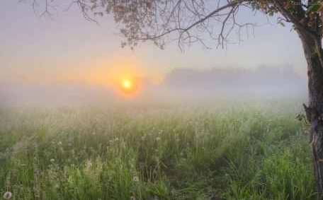 「新闻下午茶」涉嫌骗贷420多亿，玉林天元翡翠老板吴东等13人在柳州受审~