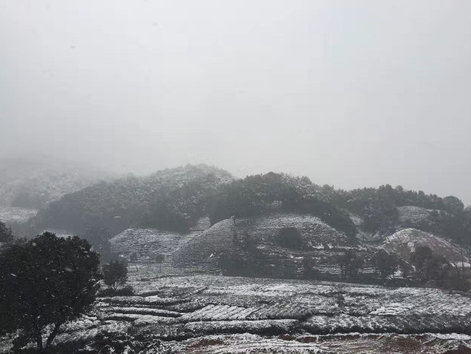 杭州今天真的下雪了！雪太细只有部分“有缘人”看到了……
