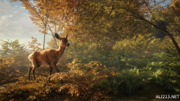 开放世界狩猎游戏《猎人：荒野的呼唤》发售日公布！