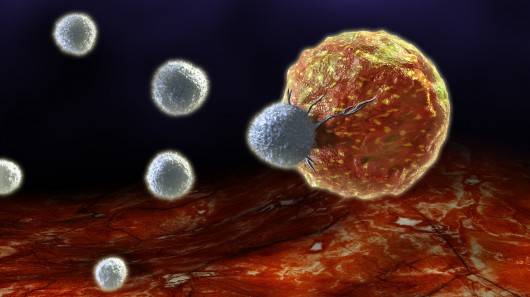 免疫系统的“间谍”：竟能促进癌症转移