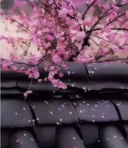十五首最美爱情诗词,伴你过一个温馨浪漫的情人节-第5张图片-非凡网 十五首最美爱情诗词,伴你过一个温馨浪漫的情人节-第5张图片-非凡网
