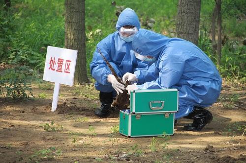 遂宁4人感染H7N9敲响警钟 四川紧急加强野生动物疫病防控