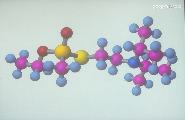 VX毒剂长什么样?