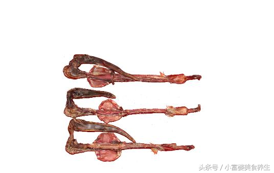 鹿鞭的功效与作用及鹿鞭泡酒大全