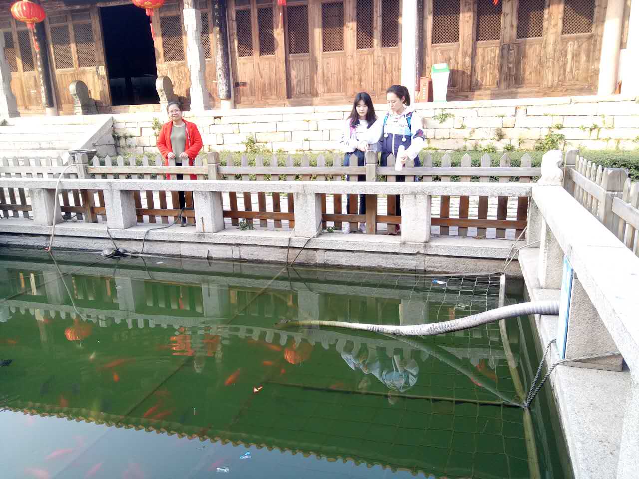 泉州人去寺庙为何喜欢往放生池里扔钱，莫非是因为钱多？