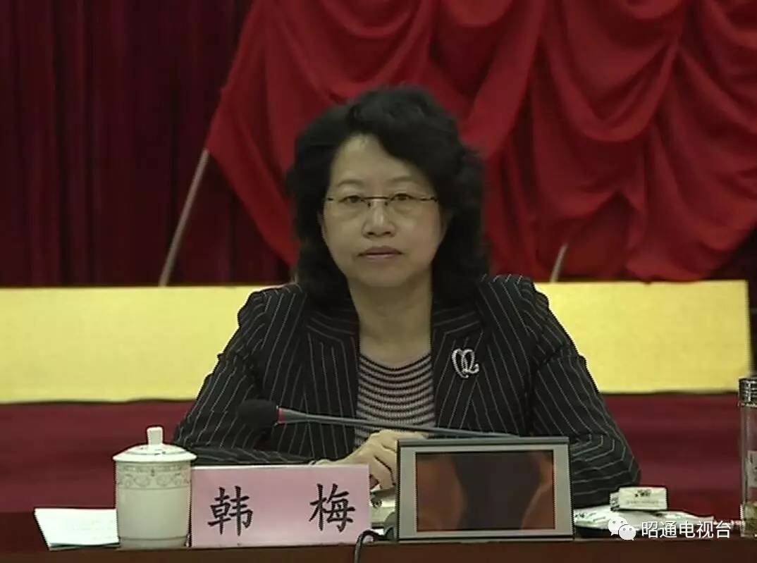 张祖林强调:加快推进白鹤滩水电站移民工作