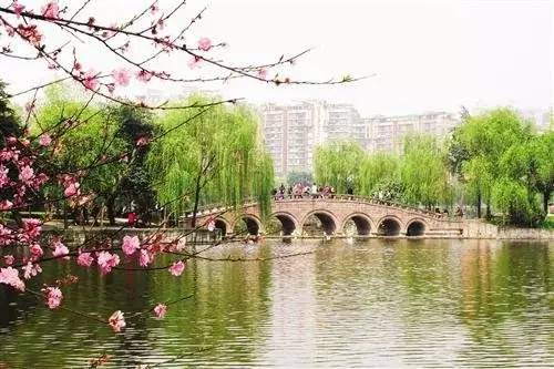 本周日起，重庆130个公园免！费！开！放！限3天，抓紧去浪阿~