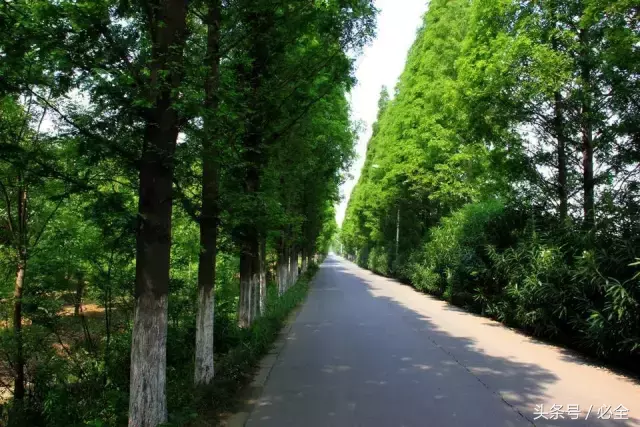 未来园林企业应向哪里进军？