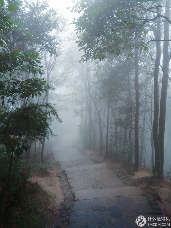 不看华为吹牛逼，摄影老司机亲测荣耀V9黑白双摄