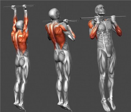 如何快速學會引體向上？3個步驟，實現從0到10的突破