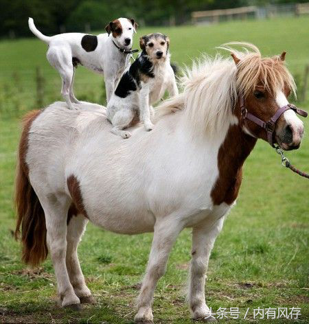 硬盘引起的电脑蓝屏之SSD固态硬盘问题