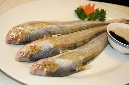 7800一斤！长江刀鱼卖出天价，真因为有多好吃？