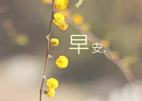 早安图片 早安问候语配图片图片