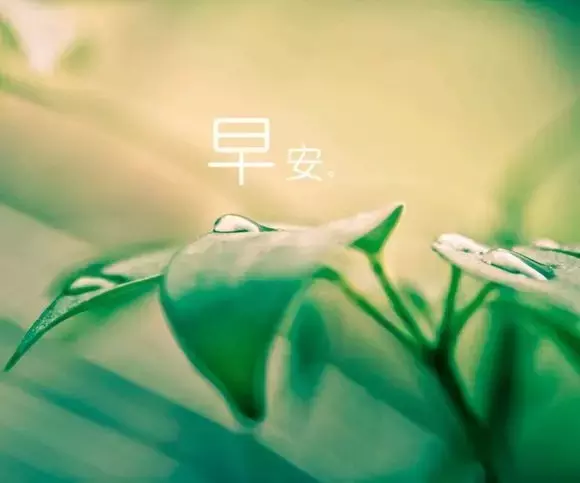 早安图片 早安问候语配图片图片