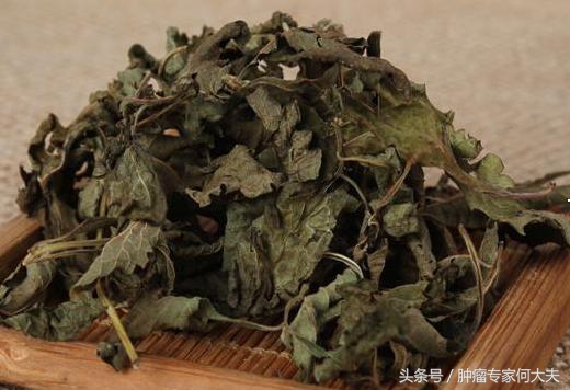 中药冬凌草，又叫延命草，河南民间用来防治食管癌，好用么？