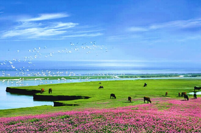 带你走近中国第一大淡水湖--鄱阳湖