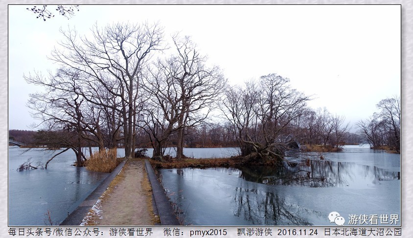 日本北海道大沼公园 明治天皇曾驻跸于此 枯季之美让人难忘