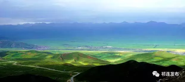 绿色的呼唤——探访祁连山生态