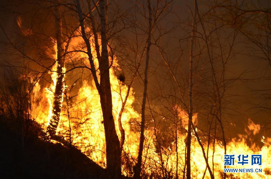 内蒙古大兴安岭又发生一起森林火灾