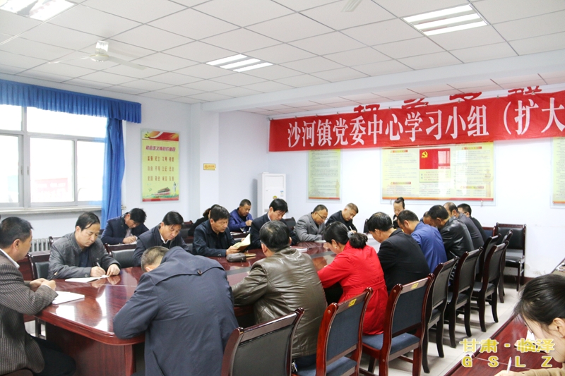 临泽县沙河镇召开党委中心学习小组（扩大）会议