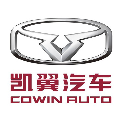 不认识这些国产车新车标，怎么好意思说支持国产车？