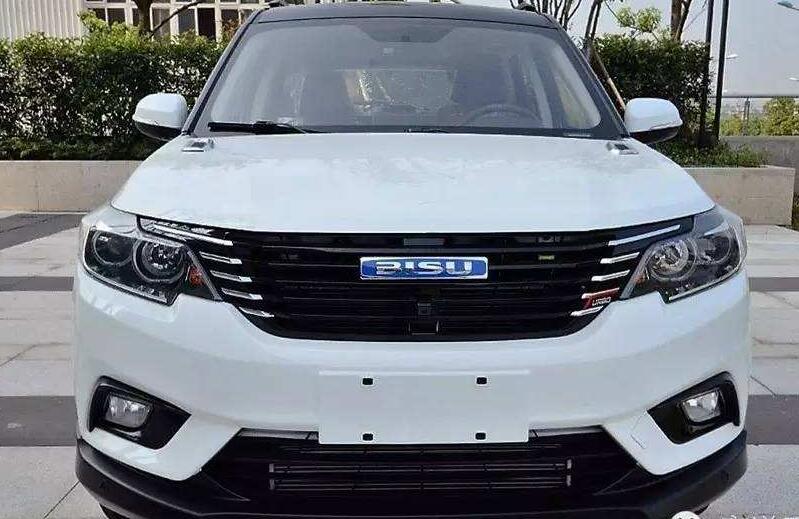 不认识这些国产车新车标，怎么好意思说支持国产车？