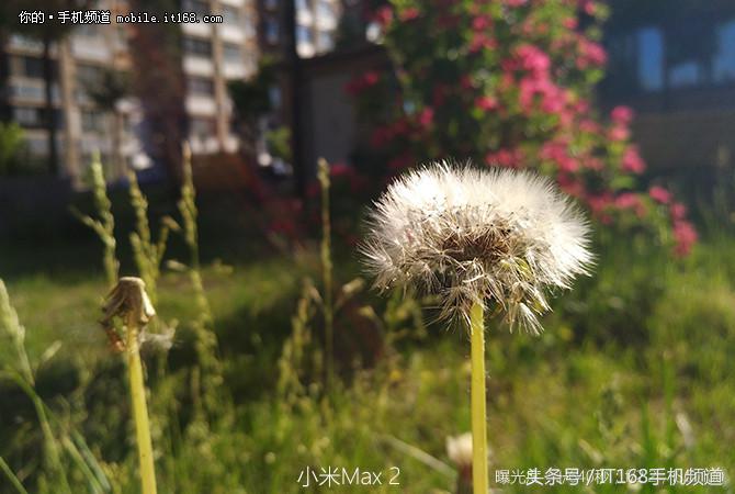 满足了我对大屏手机的所有向往 小米Max 2评测