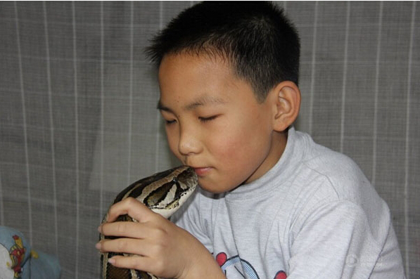 男孩与巨蟒蛇同居12年，人蛇同睡一床，竟然是这个原因导致的！