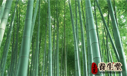 原来竹子全身都是宝，90%的人都不知道呢