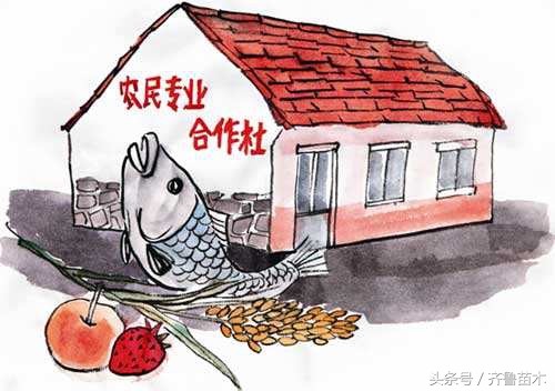 农民专业合作社的住所也要符合企业关于住所的规定吗？