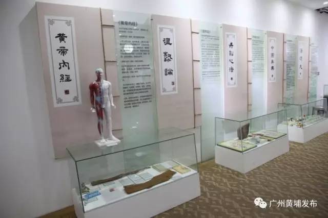 比同仁堂还长七岁！走进白云山中一展厅，探秘岭南中药&ldquo;活化石&rdquo;