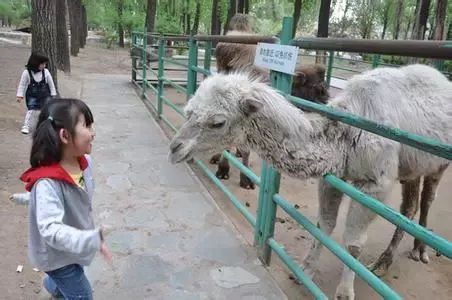 六一怎么过？请收好武汉这份最强亲子遛娃攻略！