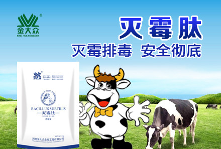 Vivid sheep butcher machines flow and standard