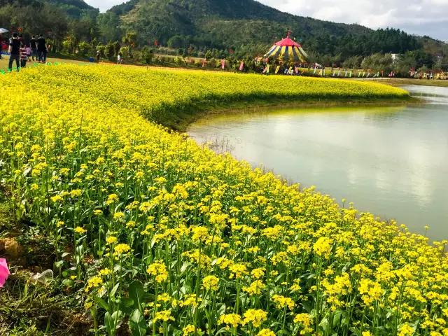 恩平版《南山南》，我把恩平唱给你听