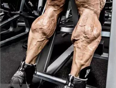 腿部训练让肌肉生长，提高心肺功能和睾丸素水平