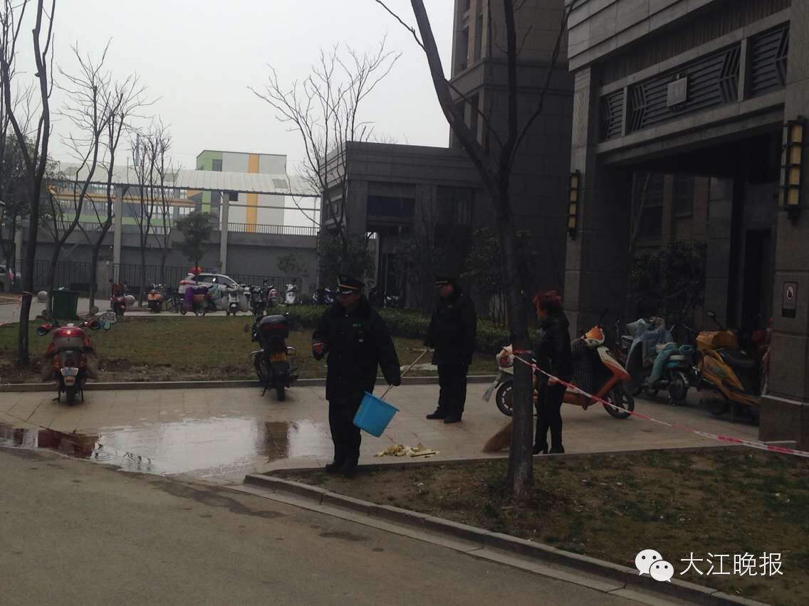 权威现场发布芜湖大学教师绿地小区坠楼身亡，究竟为何？