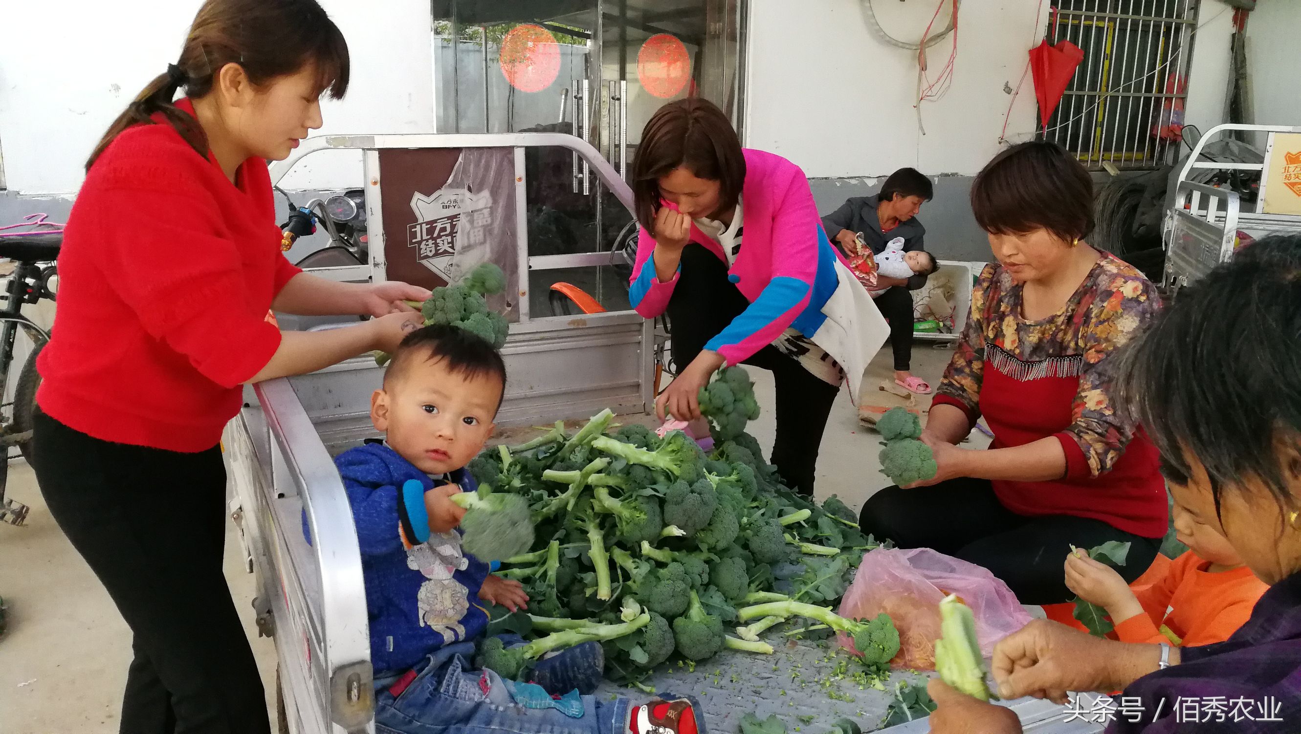 最适合农村人做的7种小生意，最后一个没想到！