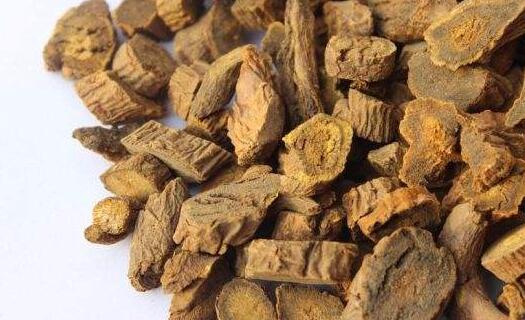 大黄的功效与作用