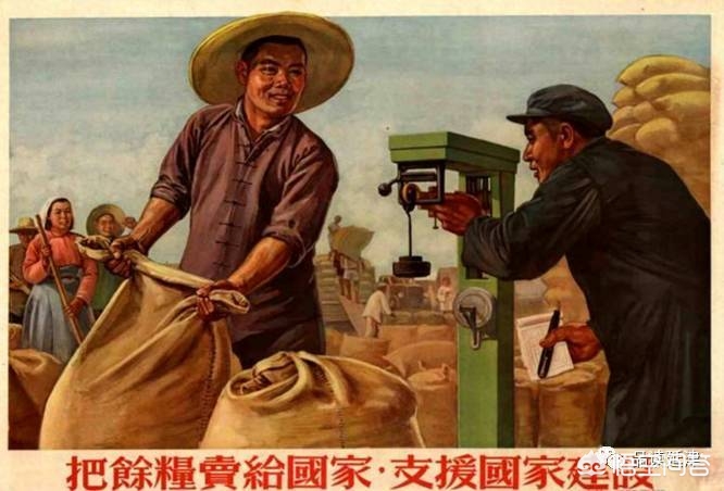 农民作为一个职业，政协委员建议推行“退休制”，大家是否赞成