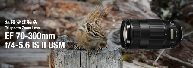 匹敌L头！佳能EF70-300 F4-5.6 IS II USM摄像镜头获国外高点评！