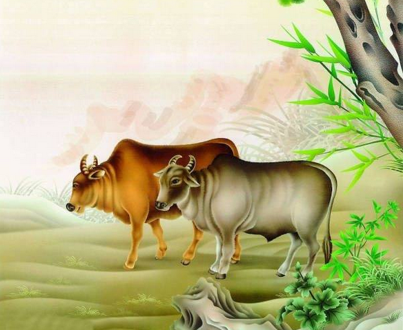 不同日子出生属牛人的命运,属牛人你知道吗?