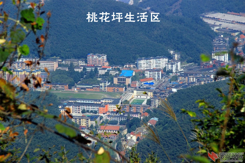 因为住在桃花坪,小时候对山的感情是要多于对水的.